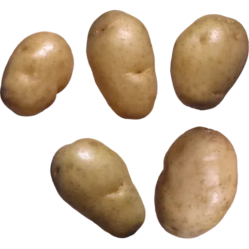 Картошка - Sticker 7