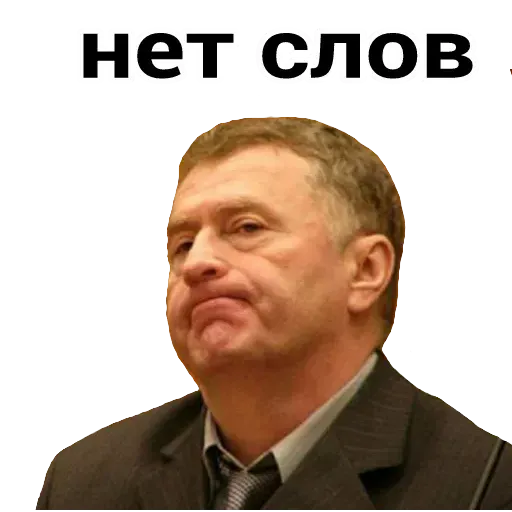 Владимир Вольфович Ж - Sticker 3