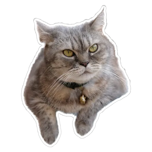 sgn_meow3 - Sticker 2